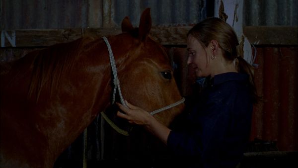 McLeod's Daughters - Gift Horse