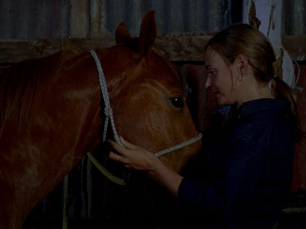 McLeod's Daughters - Gift Horse