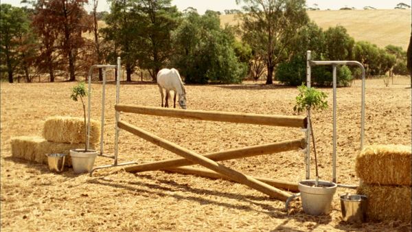 McLeod's Daughters - Show Pony