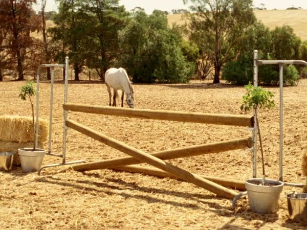 McLeod's Daughters - Show Pony
