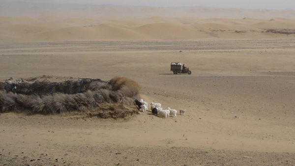 Return of the Bible Plagues - Sandstorm