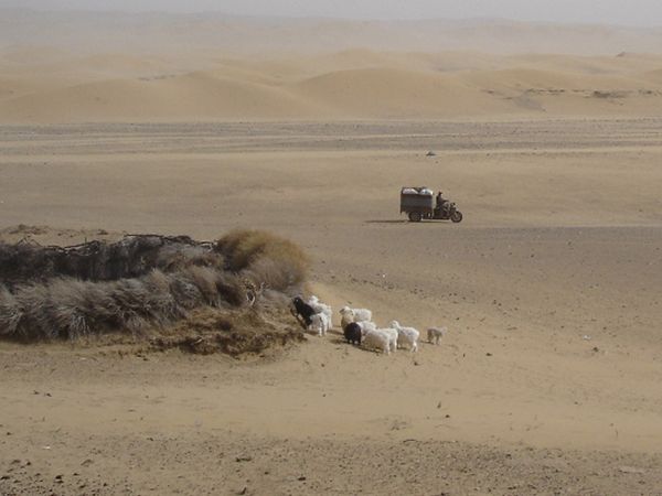 Return of the Bible Plagues - Sandstorm