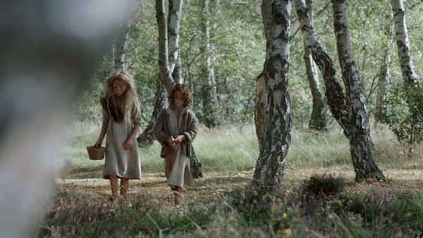The Ascent of Civilization - How the Vikings Changed the World