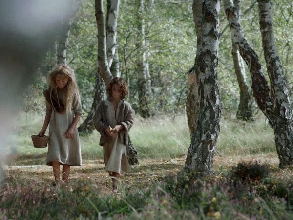 The Ascent of Civilization - How the Vikings Changed the World