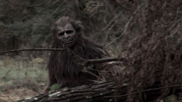 Paranormal Portals - Bigfoot
