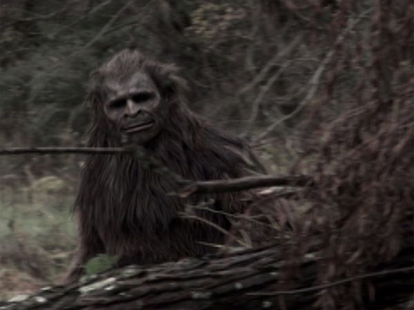 Paranormal Portals - Bigfoot