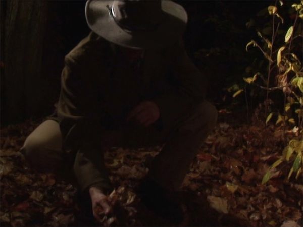 Paranormal Portals - Bigfoot in Alberta
