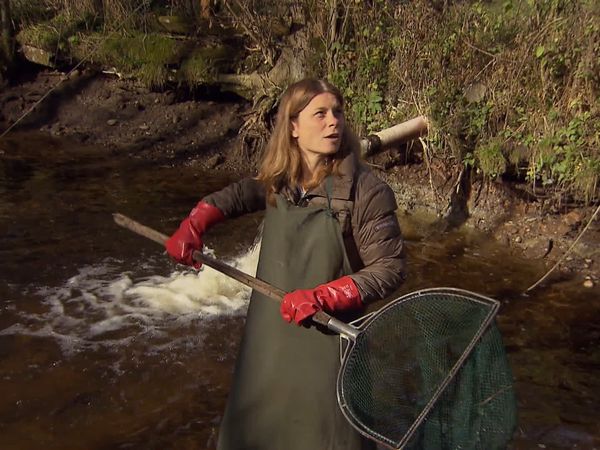 Sarah Wiener in Österreich - Wiener Früchte