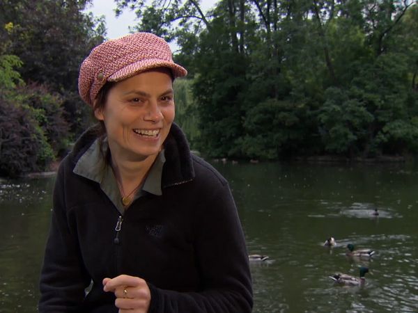 Sarah Wiener in Österreich - Borstenvieh und Burgenland