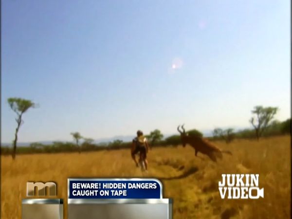 The Maury Show - Beware! Hidden Dangers Caught on Tape