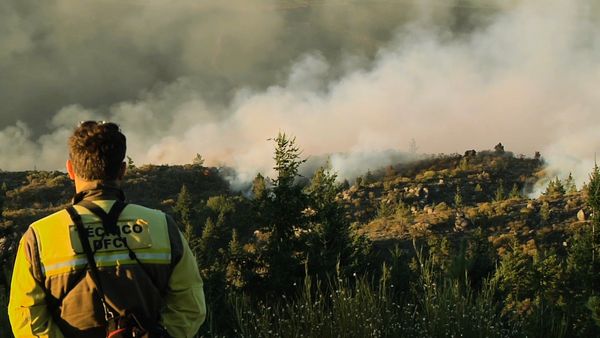 Horas de desesperación - INCENDIOS