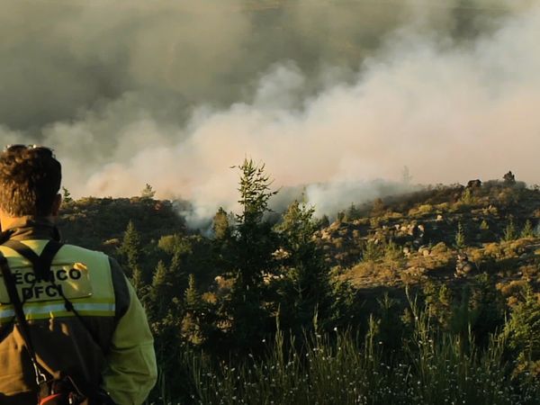 Horas de desesperación - INCENDIOS
