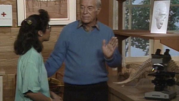 Mr. Wizard's World - Einstein Illusion, Magnetic Fields and more