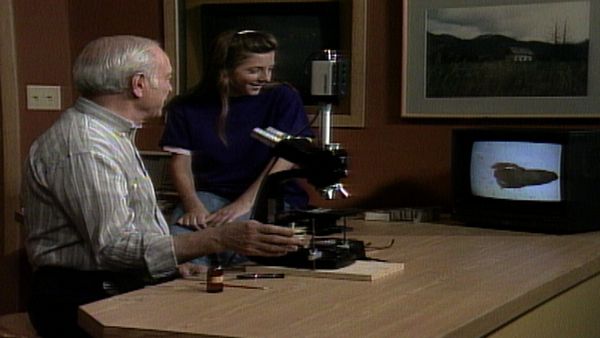 Mr. Wizard's World - Paper Airplanes, Marshmellow Burn and more