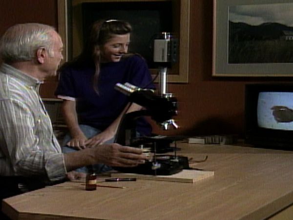 Mr. Wizard's World - Paper Airplanes, Marshmellow Burn and  more