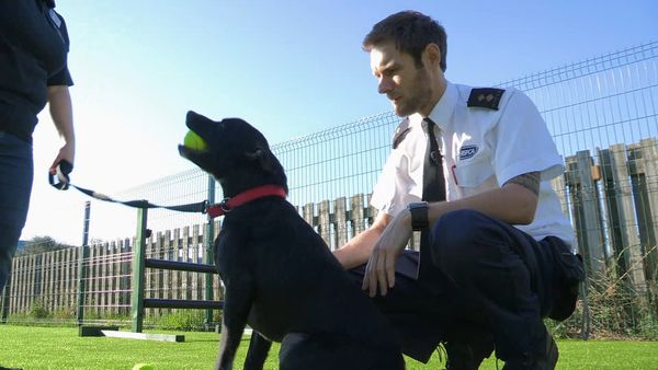 The Dog Rescuers - Episode 5