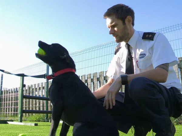 The Dog Rescuers - Episode 5