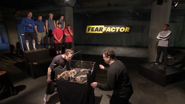 Fear Factor MTV - Derribo del buscador de emociones