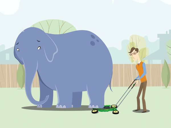 La fauna de Fanny - ¿Quién le teme al doctor Fector? / Camino a Hong Kong