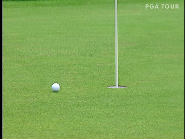 Tiger Woods - Tiger Woods wins 2006 Buick Open