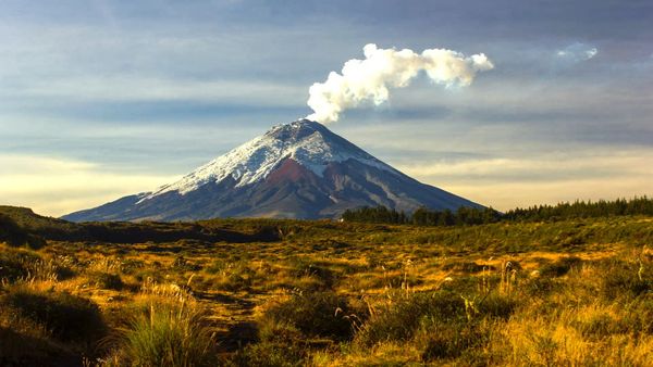 El Mundo Es Tuyo - Tailandia – Florencia – Ecuador