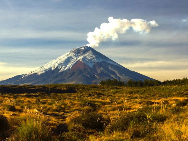 El Mundo Es Tuyo - Tailandia – Florencia – Ecuador