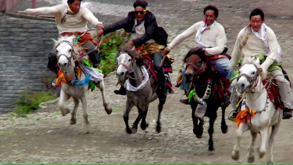 Great Horses of the World - Talking to the Air: The Horse of the Last Forbidden Kingdom