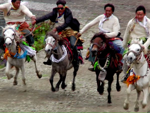 Great Horses of the World - Talking to the Air: The Horse of the Last Forbidden Kingdom