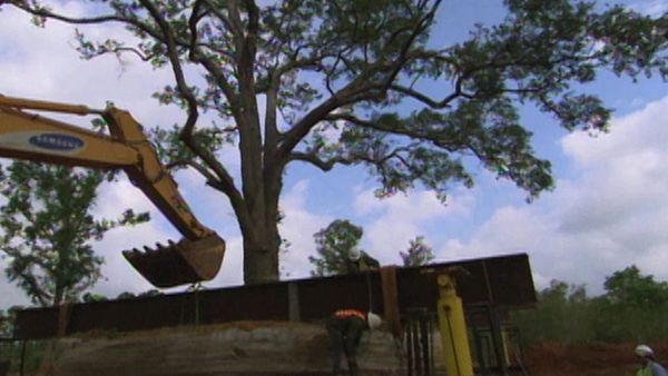 Mega Movers - Estructuras extrañas