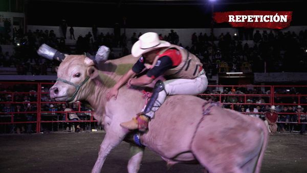 Liga Mexicana de Jaripeo Profesional - 24