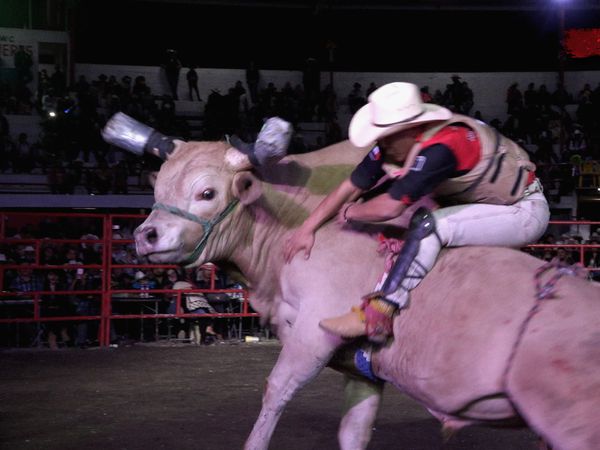 Liga Mexicana de Jaripeo Profesional - 24
