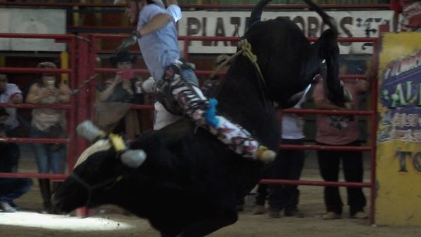 Liga Mexicana de Jaripeo Profesional - 20