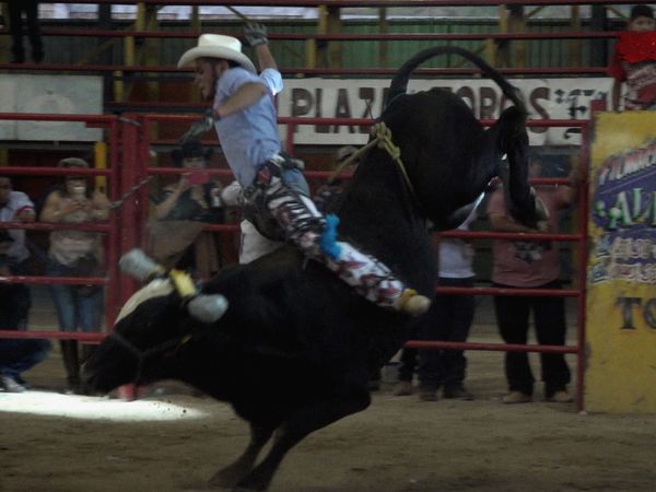 Liga Mexicana de Jaripeo Profesional - 20