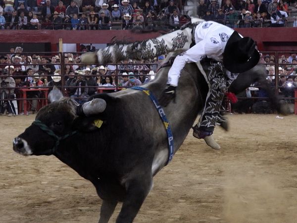Liga Mexicana de Jaripeo Profesional - 19