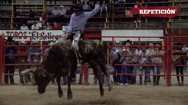 Liga Mexicana de Jaripeo Profesional - 21