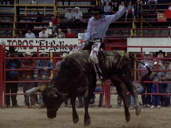 Liga Mexicana de Jaripeo Profesional - 21