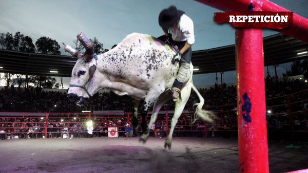 Liga Mexicana de Jaripeo Profesional - 25