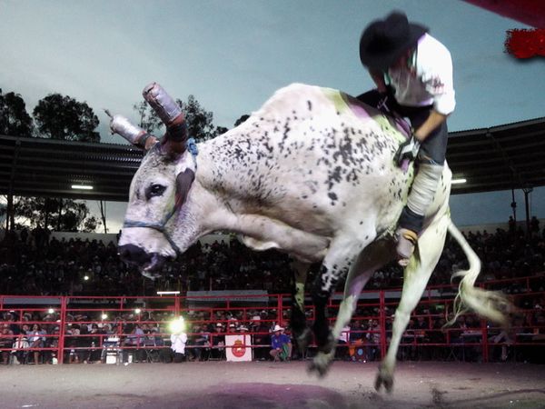 Liga Mexicana de Jaripeo Profesional - 25