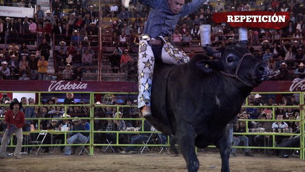 Liga Mexicana de Jaripeo Profesional - 16
