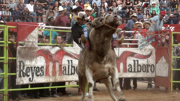 Liga Mexicana de Jaripeo Profesional - 14
