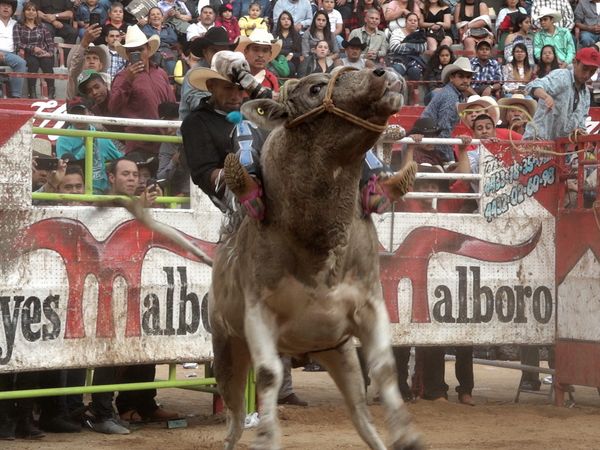 Liga Mexicana de Jaripeo Profesional - 14