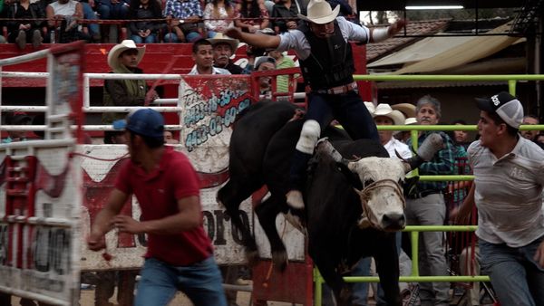 Liga Mexicana de Jaripeo Profesional - 15