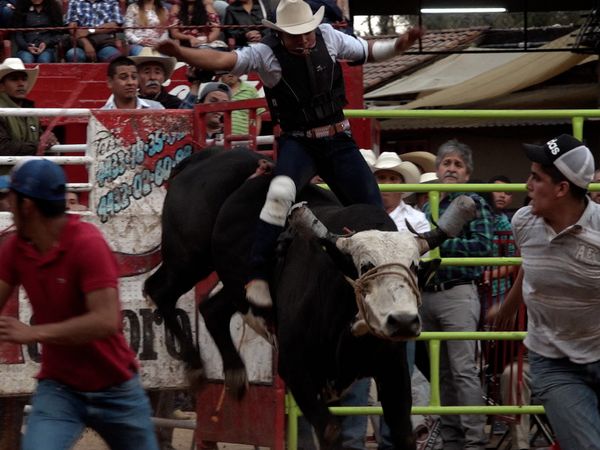 Liga Mexicana de Jaripeo Profesional - 15