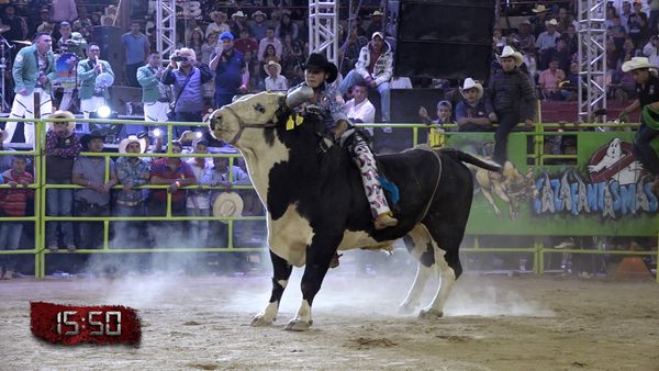 Liga Mexicana de Jaripeo Profesional - 11