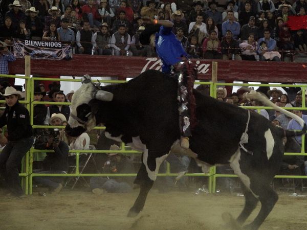 Liga Mexicana de Jaripeo Profesional - 12