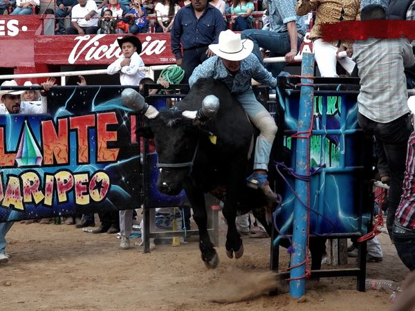 Liga Mexicana de Jaripeo Profesional - 5