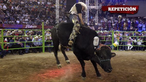 Liga Mexicana de Jaripeo Profesional - 8