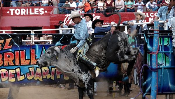 Liga Mexicana de Jaripeo Profesional - 4