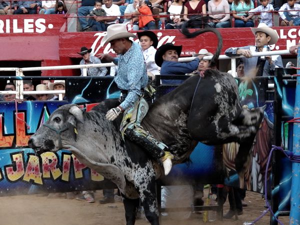 Liga Mexicana de Jaripeo Profesional - 4