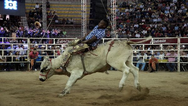 Liga Mexicana de Jaripeo Profesional - 2